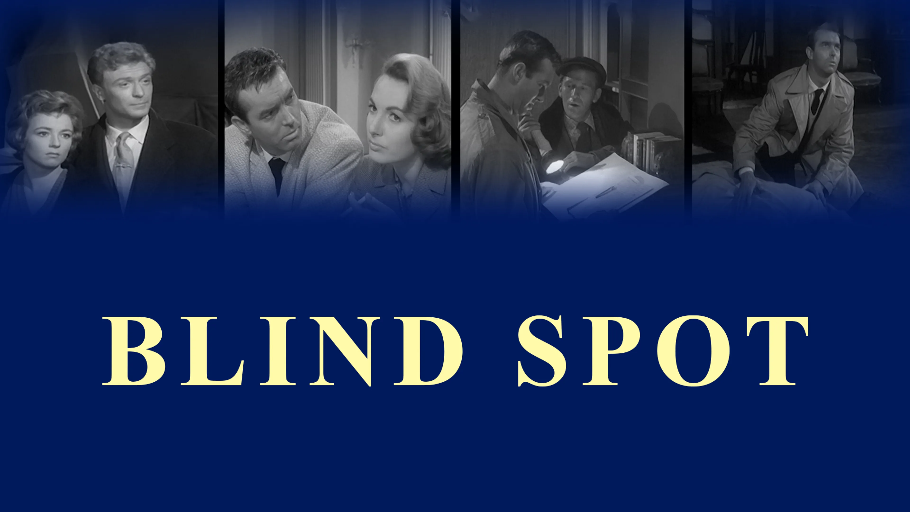 Blind Spot poster